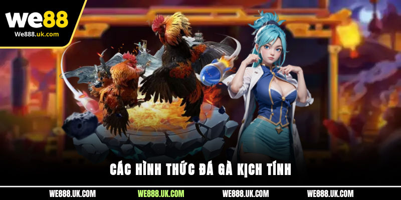 Các hình thức đá gà kịch tính