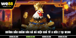 Hướng Dẫn Chăm Sóc Gà Đá Hiệu Quả Từ A Đến Z Tại We88