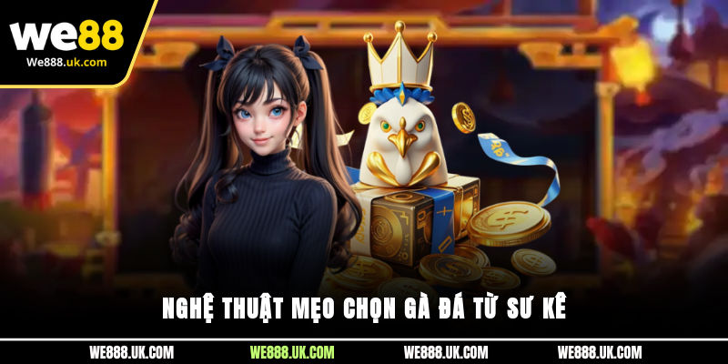 Nghệ thuật mẹo chọn gà đá từ sư kê