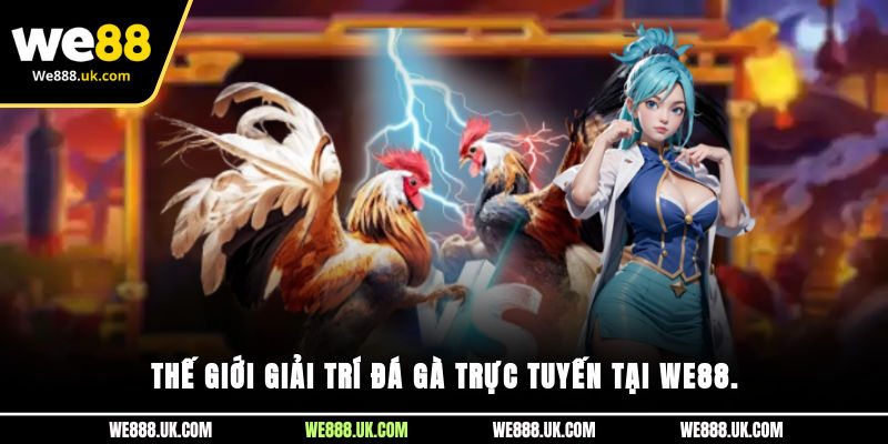 Thế giới giải trí đá gà trực tuyến tại We88.